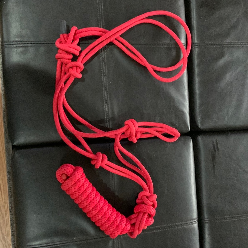 Rope halter with lead rope